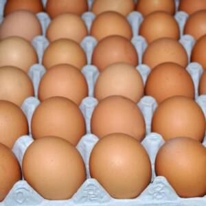 کاهش قیمت تخم مرغ پوسته قهوه ای در میادین و بازارهای میوه و تره‌بار