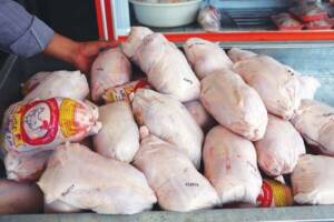 یک وزارتخانه و یک خانواده گره کور افزایش قیمت مرغ
