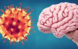 ویروس کووید ۱۹ در بروز افسردگی و آلزایمر تأثیرگذار است؟