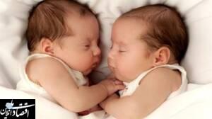 قانون اهدای جنین نواقص فراوان دارد