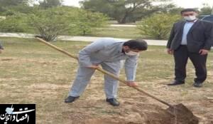 کاشت هر نهال امیدی برای دنیایی سالم تر است