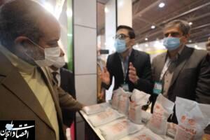 نمایشگاه بین‌المللی پسماند فرصتی مناسب برای تعامل دستگاه های مختلف