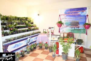 طرح گلماند الگوی نوین کاهش پسماند در مناطق است