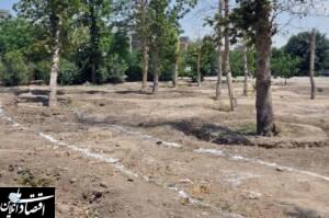 آغاز عملیات احداث بوستان سردار سلیمانی در منطقه ۱۷