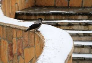 احتمال تعطیلی روزهای شنبه و یکشنبه تهران به شرط موافقت معاون اول