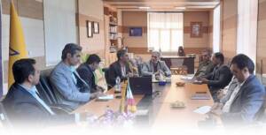 استفاده از توان نیروهای جدید در تکمیل نیروهای حوزه توزیع