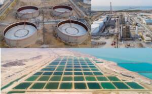 شرایط برای سرمایه گذاران واقعی در جزیره قشم تسهیل شد