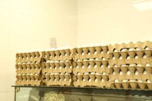 قیمت تخم مرغ در میادین میوه و تره‌بار کاهش یافت