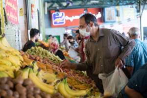 قیمت برخی اقلام میوه در میادین و بازارهای میوه و تره بار کاهش یافت