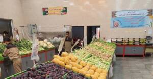 میوه ۳۹ درصد ارزان‌تر از سطح شهر در میادین و بازارهای میوه و تره‌بار عرضه می‌شود