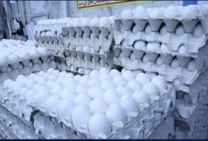 قیمت تخم مرغ پوسته سفید در میادین و بازارهای میوه و تره‌بار اعلام شد