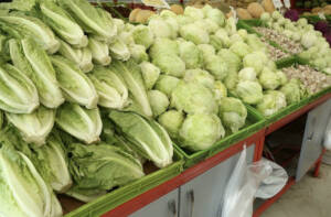 قیمت برخی سبزیجات برگی و غیربرگی در میادین و بازارهای میوه و تره بار کاهش یافت