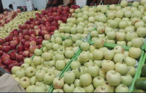 قیمت برخی میوه‌ها در میادین و بازارهای میوه و تره بار کاهش یافت