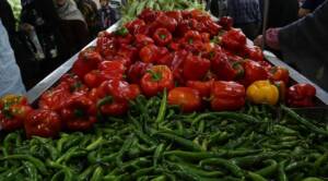 قیمت انواع سبزیجات در میادین و بازارهای میوه و تره بار اعلام شد