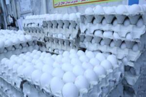 قیمت تخم مرغ پوسته سفید در میادین و بازارهای میوه و تره‌بار اعلام شد