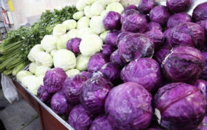 انواع سبزیجات۳۴ درصد ارزان‌تر از سطح شهر در میادین و بازارهای میوه و تره‌بار عرضه شد