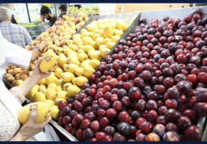 قیمت انواع میوه در میادین و بازارهای میوه و تره بار اعلام شد