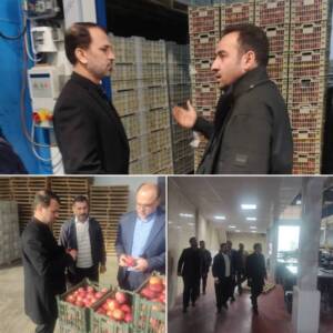 مدیرعامل سازمان مدیریت میادین به استان آذربایجان غربی سفر کرد