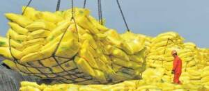 ارز برنج وارداتی نیمایی است