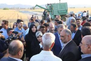 گام بلند خودکفایی گندم در دولت سیزدهم