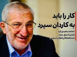 کار را باید به کاردان سپرد