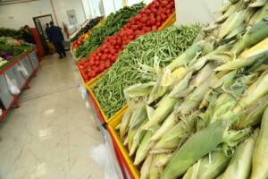 سبزیجات ۳۵درصد ارزان‌تر از سطح شهر در میادین و بازارهای میوه و تره بار عرضه شد