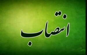 زهره عالی پور سرپرست سازمان خصوصی سازی شد