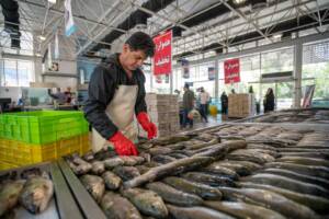 قیمت انواع آبزیان در میادین و بازارهای میوه و تره بار اعلام شد