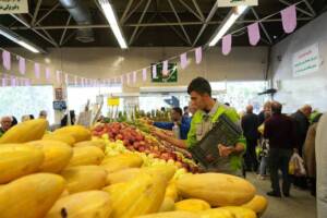 قیمت میوه‌ در میادین و بازارهای میوه و تره بار اعلام شد