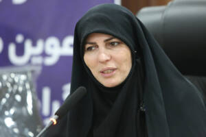 بهره مندی از ظرفیت خانواده ها در حل مشکلات پایتخت