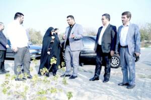 رفع بخشی از مشکلات میدان مرکزی میوه وتره بار از طریق مصوبات شورا