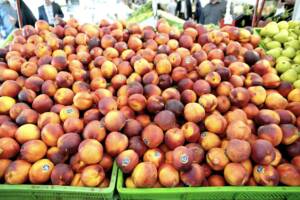 قیمت انواع میوه اعلام شد