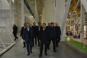 حرکت به سوی اشتغال پایدار،بازدید شایان ازماموت