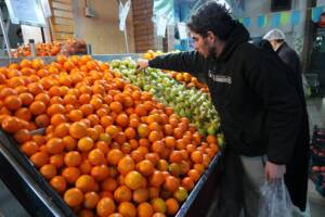 قیمت میوه در میادین و بازارهای میوه و تره بار تهران اعلام شد