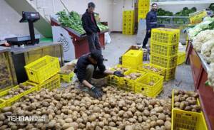  از گوشت مرغ تا سیب‌زمینی؛ بازارهای تهران مملو از اقلام مصرفی با قیمت مناسب 