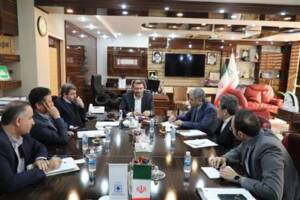 بازنگری در ساختار اموال تملیکی