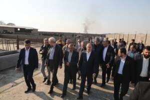 کشاورزی مدرن؛ کلید امنیت غذایی و توسعه پایدار