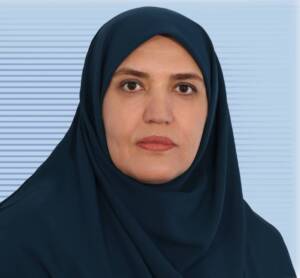 زهرا بختیاری: امنیت سرمایه‌گذاران خارجی نیازمند قوانین روزآمد