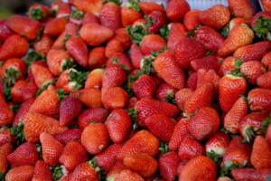 قیمت انواع میوه اعلام شد