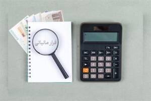 شناسایی ۸۹۲ مؤدی مشکوک به پول‌شویی در سال ۱۴۰۳