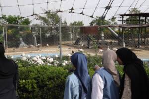 اردوی فراغتی آموزشی ویژه برای دختران نوجوان تحت پوشش