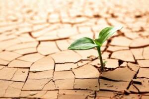 ایران در گرداب بحران‌های اقلیمی