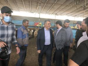 ۱۵ جایگاه عرضه بهداشتی دام در تهران برای عید قربان