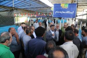 عرضه ۸۲۳۹ راس دام زنده بهداشتی در روز عید قربان و عرفه