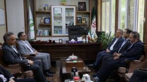 گل‌محمدی: پایان جزیره‌ای‌کاری در تحقیقات کشاورزی