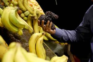 قیمت انواع میوه اعلام شد