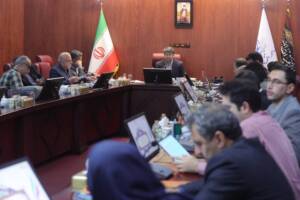 آسیب‌شناسی واگذاری‌ها در کمیسیون تخصصی شورای عالی اصل ۴۴