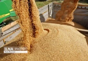 وزارت نفت نتوانست ارز واردات کالاهای اساسی را بپردازد/ ۲۰ فروند کشتی منتظر تخلیه هستند