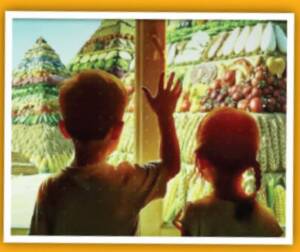 روایت عصر نوآوری اجتماعی